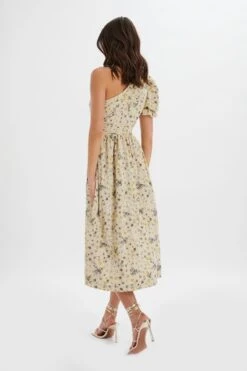 POLLY One Shoulder Puff Sleeve Midi Dress In Floral Broidery 9 POLLY One Shoulder Puff Sleeve Midi Dress In Floral Broidery -Lavish Alice LA 242DS27A BEI 1289