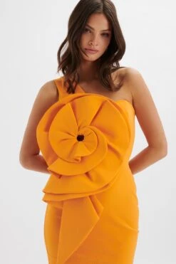 NOLA 3D Statement Ruffle Midi Dress In Papaya -Lavish Alice LA 242DS44 ORN 6483