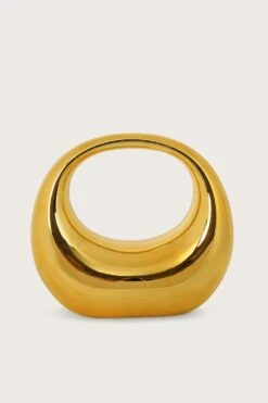 VIVIANA Sculptural Acrylic Clutch Bag In Gold