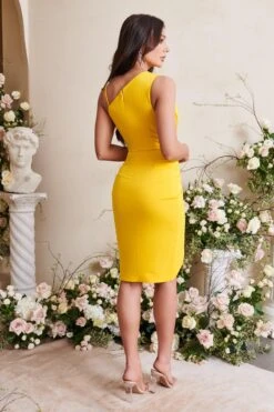 EMMA Cowl Neck Midi Wrap Dress In Yellow -Lavish Alice LA SPRING22 ECOM 108575