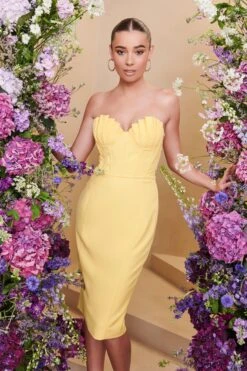 CHARLOTTE Pleated Bust Corset Midi Dress In Yellow -Lavish Alice LA SUMMER22 3132